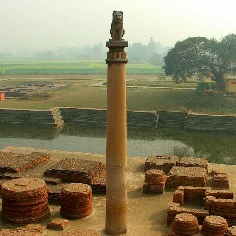 Ashokan Pillar Inscription 