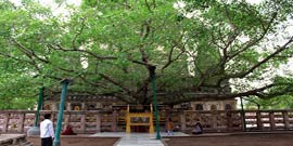 Bodhgaya Special Buddhist Tour Package India